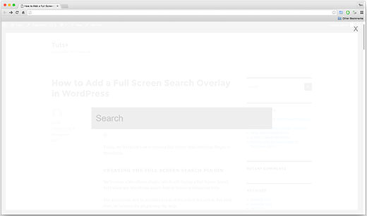 全屏搜索覆盖在WordPress网站上 