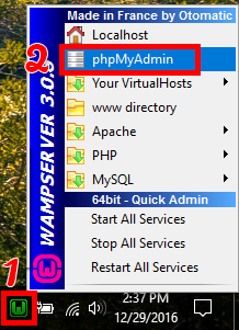 启动PHPMyAdmin 