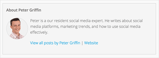 手动作者信息框 