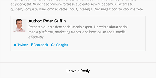 作者信息框添加了插件 